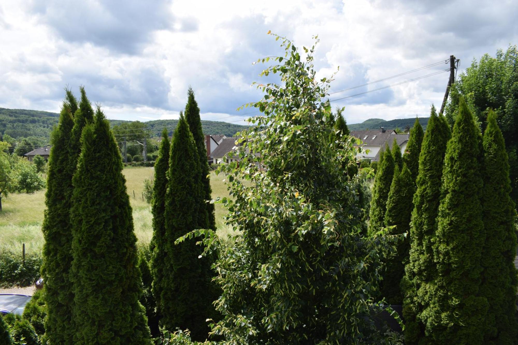Ferienwohnung Ahrtalblick Sinzig Exteriér fotografie